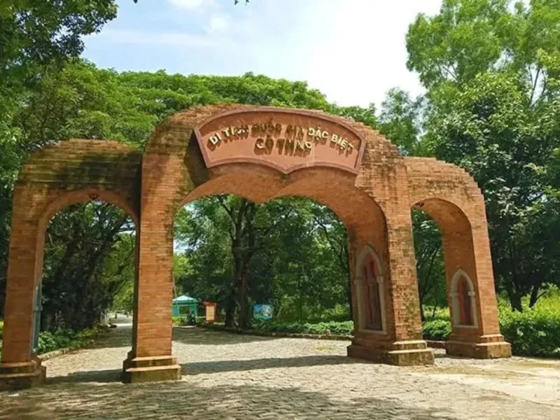 dong thap co gi choi 10 diem den va trai nghiem dang thu nhat