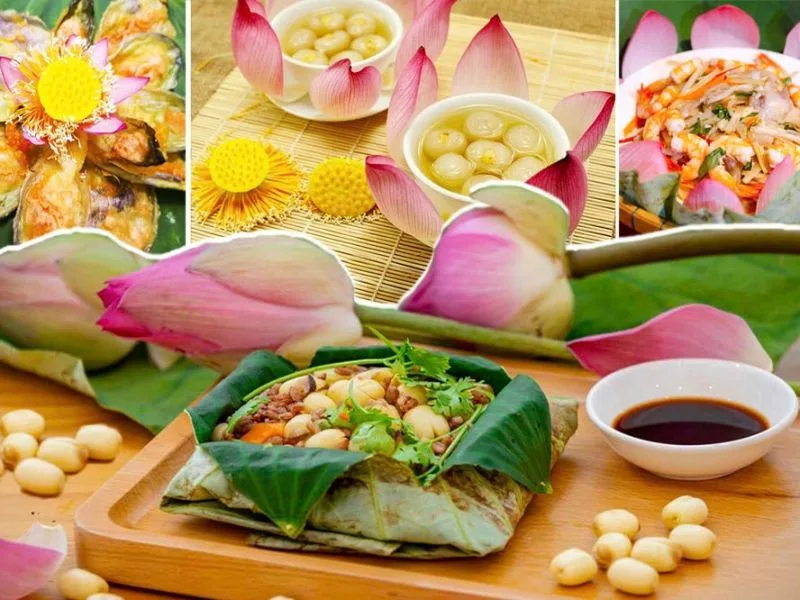 dong thap co gi choi 10 diem den va trai nghiem dang thu nhat