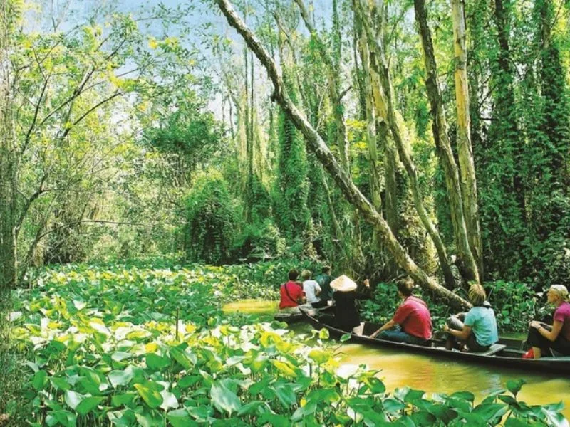 dong thap co gi choi 10 diem den va trai nghiem dang thu nhat
